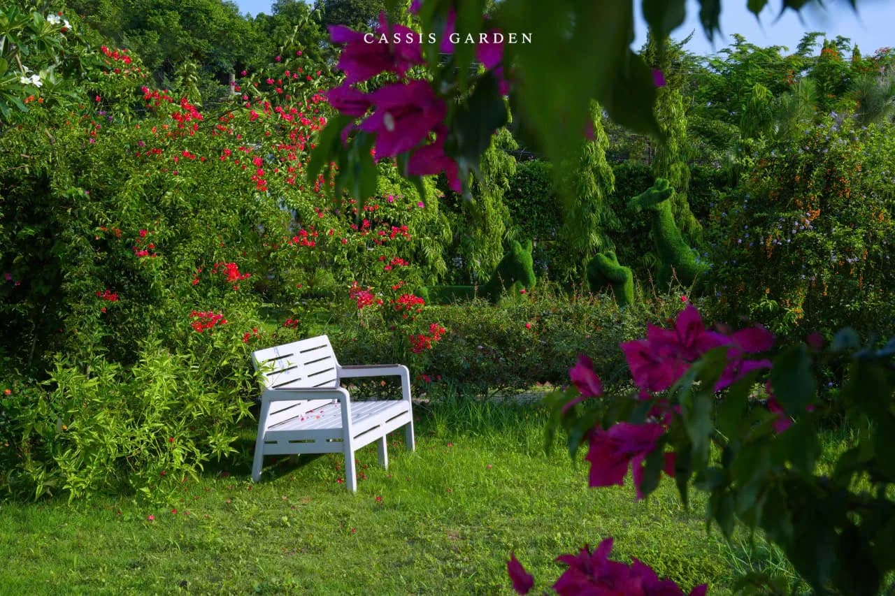 LETTERS FROM THE GARDEN — ARTICLE 02 🌿 Vì sao Cassis trồng nhiều cây đến thế?