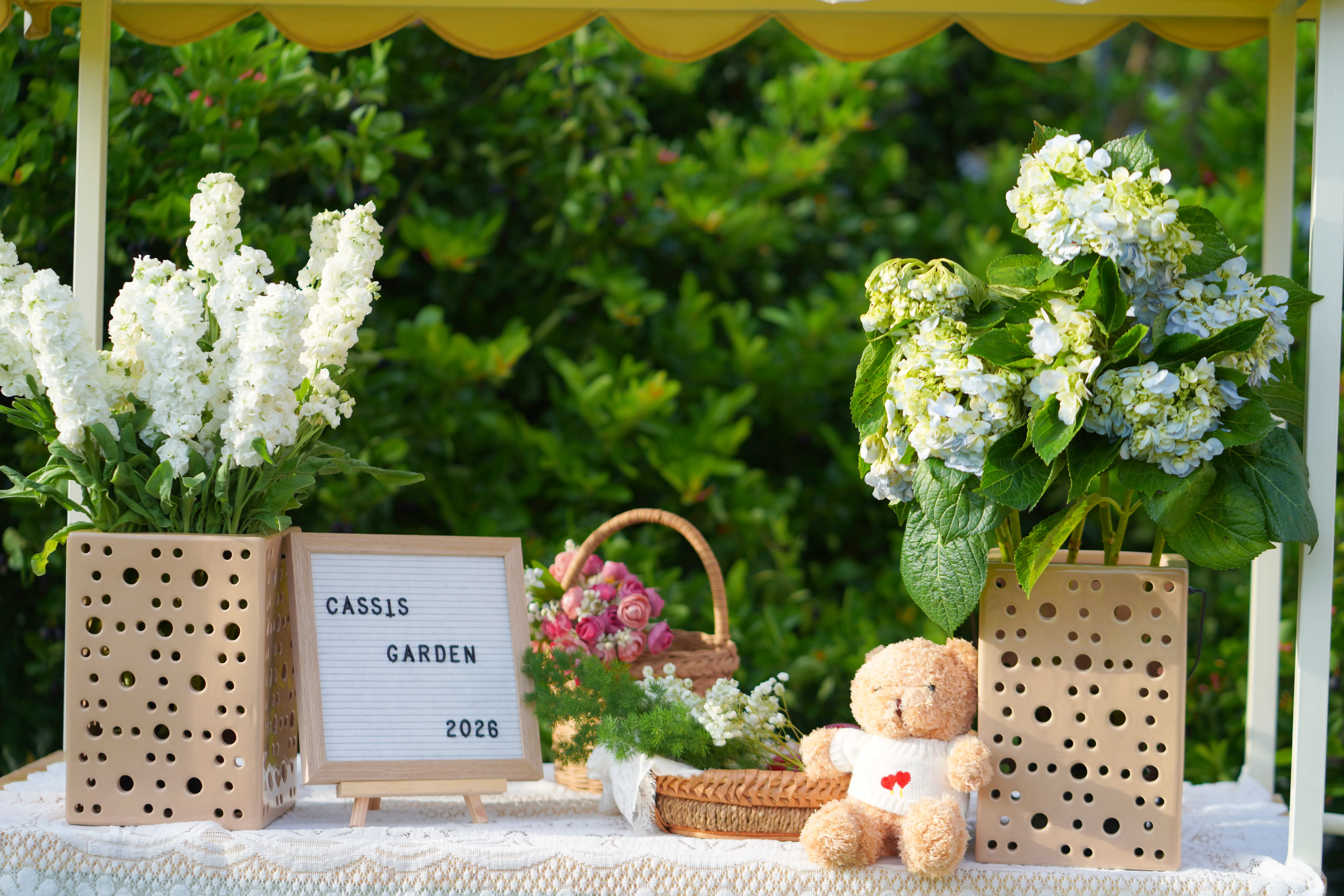 Nhịp Thở Của Vườn Khi Thu Về, ảnh 11