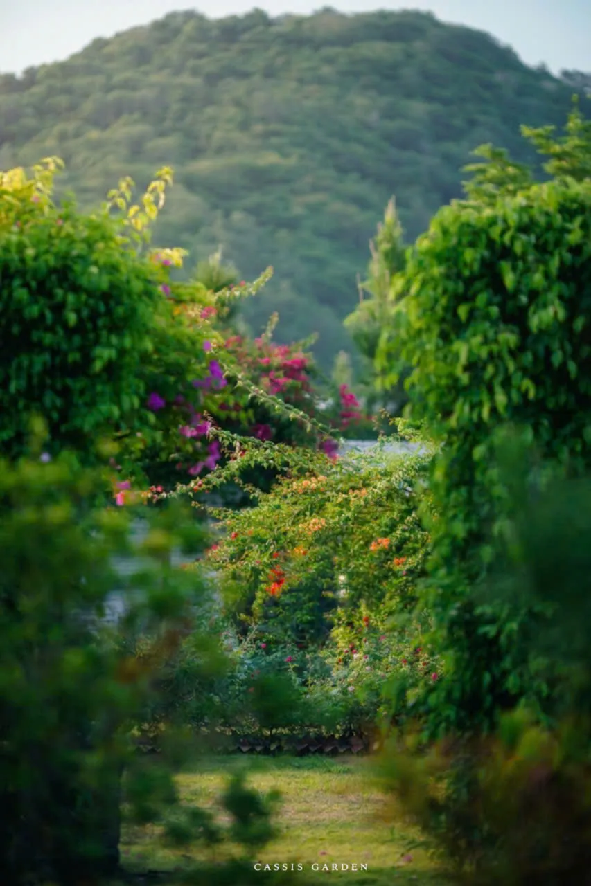 góc vườn